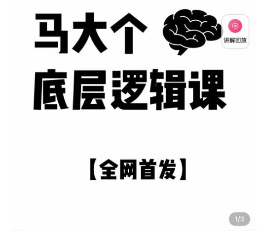马大个·底层逻辑课，51节底层逻辑智慧课-价值1980元-逐浪前行
