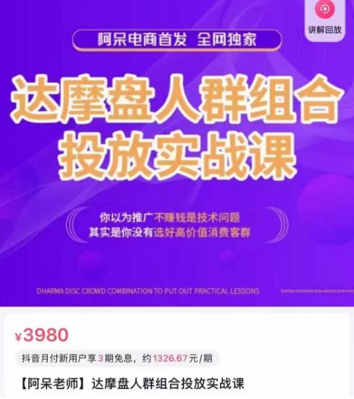 阿呆电商·达摩盘人群组合投放实战课，你以为推广不赚钱是技术问题，其实是你没有选好高价值消费客群-逐浪前行