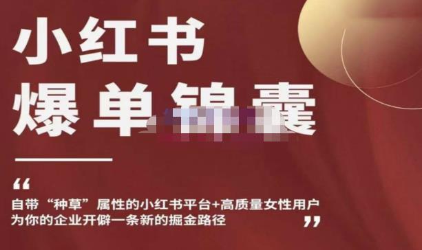 小红书爆单锦囊，自带种草属性+高质量女性用户，为你的企业开辟一条新的掘金路径-逐浪前行
