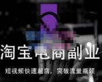 蓝Sir派·淘宝短视频快速起店，替代传统搜索方式，学会做一个不一样的淘宝店-逐浪前行