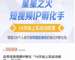 瑶瑶·自然流短视频IP孵化第二期，14天线上实战训练营，赋能100个人成为有数据能赚钱的独立IP孵化手-逐浪前行