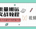 视频号批量搬运实战操作运营赚钱教程,傻瓜式批量制作高质量内容【附视频教程+PPT】-逐浪前行