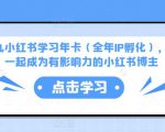 厦九九小红书学习年卡(全年IP孵化),沉浸式学习,一起成为有影响力的小红书博主-逐浪前行