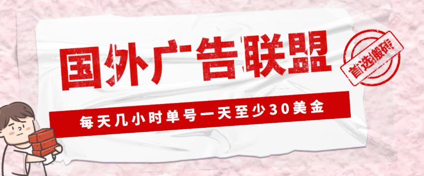 外面收费1980的最新国外LEAD广告联盟搬砖项目，单号一天至少30美金【详细玩法教程】-逐浪前行