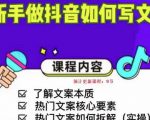 新手做抖音如何写文案，手把手实操如何拆解热门文案-逐浪前行