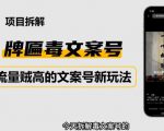 2023抖音快手毒文案新玩法，牌匾文案号，起号快易变现-逐浪前行