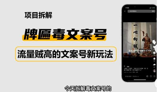 2023抖音快手毒文案新玩法，牌匾文案号，起号快易变现-逐浪前行