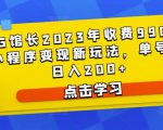 D1G馆长2023年收费990的抖音小程序变现新玩法,单号轻松日入200+-逐浪前行
