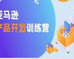 亚马逊产品开发训练营,能爆单的产品开发方法,助你突出重围-逐浪前行