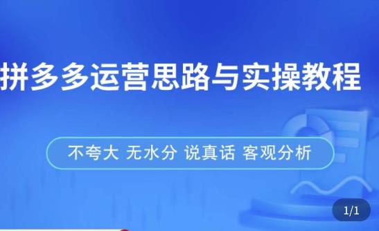 拼多多店铺运营思路与实操教程，快速学会拼多多开店和运营，少踩坑，多盈利-逐浪前行