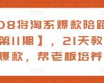 108将淘系爆款陪跑营【第11期】,21天教运营打爆款,帮老板培养运营-逐浪前行