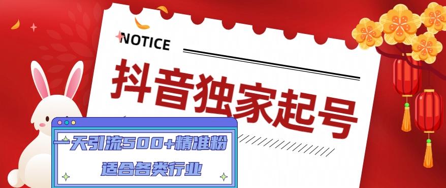 抖音独家起号，一天引流500+精准粉，适合各类行业（9节视频课）-逐浪前行