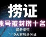2023年最新抖音八大技术,一证多实名,秒注销,断抖破投流,永久捞证,钱包注销,跳人脸识别,蓝V多实-逐浪前行