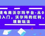 跨境电商沃尔玛平台-从0基础到入门,沃尔玛的红利,跨境新玩法-逐浪前行