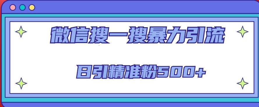 微信搜一搜引流全系列课程，日引精准粉500+（8节课）-逐浪前行