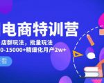 美团电商特训营:美团·店群玩法,无脑铺货月产出6000-15000+精细化月产2w+-逐浪前行
