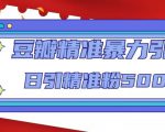 豆瓣精准暴力引流,日引精准粉500+【12课时】-逐浪前行