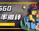 外面9800的CSGO汇率搬砖项目,一个月轻松赚几千【选品软件+详细教程】-逐浪前行