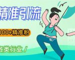 soul精准引流系列课程,一天引流100+精准粉,适合各类行业-逐浪前行