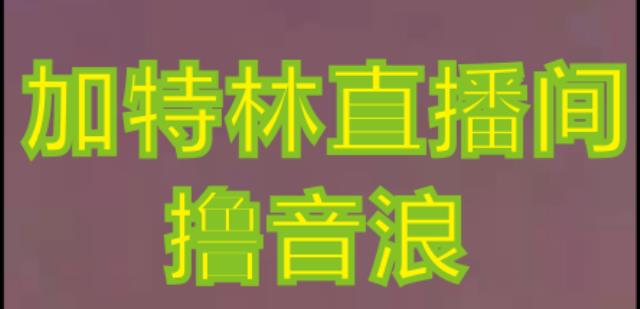 抖音加特林直播间搭建技术，抖音0粉开播，暴力撸音浪，2023新口子，每天800+【素材+详细教程】-逐浪前行