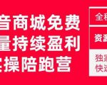 抖音商城搜索持续盈利陪跑成长营,抖音商城搜索从0-1、从1到10的全面解决方案-逐浪前行
