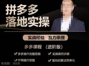 拼多多实战篇·落地实操:多多操作完整思路+实操案例讲解+拆解操作思路+复杂的算法简单化-逐浪前行