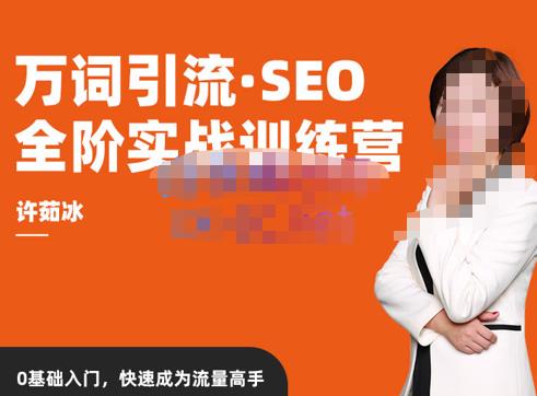 许茹冰·万词引流-SEO全阶实战训练营，0基础入门，快速成为流量高手-逐浪前行