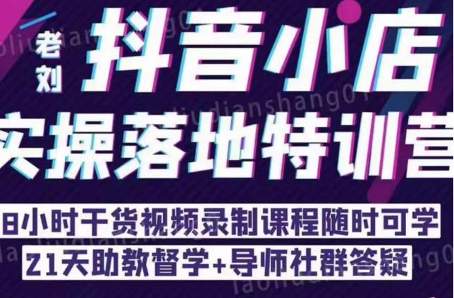 抖音小店实操落地特训营：抖音小店无货源精细化运营，抖店商品卡流量（22节）-逐浪前行