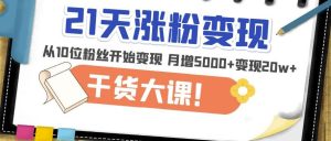 21天精准涨粉变现干货大课:从10位粉丝开始变现月增5000+变现20w+-逐浪前行