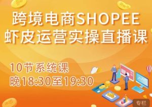 跨境电商Shopee虾皮运营实操直播课,从零开始学,入门到精通(10节系统课)-逐浪前行