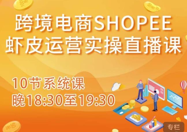 跨境电商Shopee虾皮运营实操直播课，从零开始学，入门到精通（10节系统课）-逐浪前行