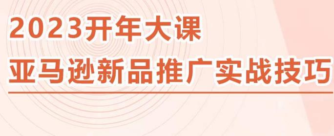 2023亚马逊新品推广实战技巧，线下百万美金课程的精简版，简单粗暴可复制，实操性强的推广手段-逐浪前行