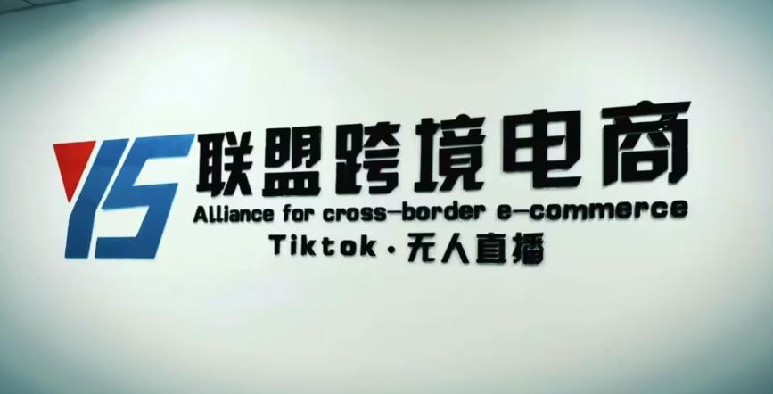YS联盟·Tiktok无人直播，不出镜不剪辑不拍摄不发货无售后的跨境短视频躺赚玩法-逐浪前行