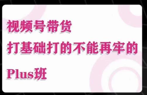 大播汇·视频号带货Puls班，视频号底层逻辑，起号自然流鱼塘等玩法-逐浪前行