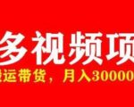 多多带货视频快速50爆款拿带货资格，搬运带货，月入30000【全套脚本+详细玩法】-逐浪前行