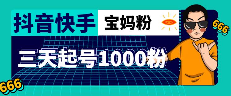 抖音快手三天起号涨粉1000宝妈粉丝的核心方法【详细玩法教程】-逐浪前行
