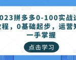 2023拼多多0-100实战运营教程，0基础起步，运营知识一手掌握-逐浪前行