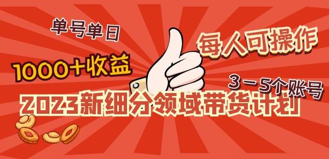 2023新细分领域带货计划：单号单日1000+收益不难，每人可操作3-5个账号-逐浪前行