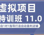 陆明明·虚拟项目特训班(10.0+11.0),0成本获取虚拟素材,0基础打造自动盈利店铺-逐浪前行