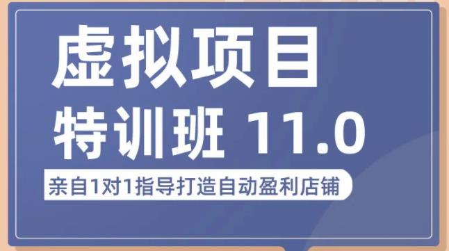 陆明明·虚拟项目特训班（10.0+11.0），0成本获取虚拟素材，0基础打造自动盈利店铺-逐浪前行