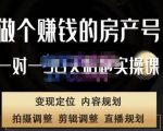 刘广标·同城房产号线上陪跑课,拍摄、剪辑、写文案、直播,做一个具有潜力价值的房产号-逐浪前行