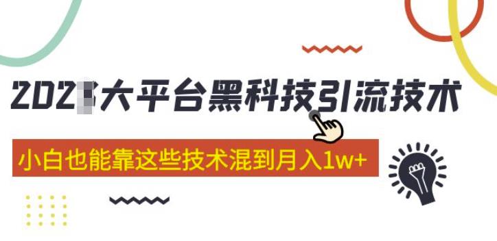 大平台黑科技引流技术，小白也能靠这些技术混到月入1w+(2022年的课程）-逐浪前行