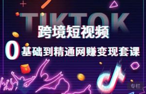 跨境短视频TIKTOK 0基础到精通网赚变现套课,跨境短视频独立站带货变现技巧-逐浪前行