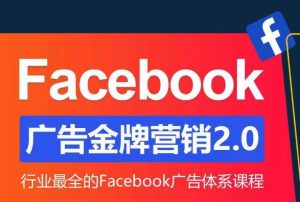Facebook广告营销体系化教程,Facebook广告金牌营销2.0,行业最全的Facebook广告体系课程-逐浪前行