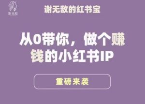 谢无敌·小红书运营大宝典，从0带你做个赚钱的小红书IP-逐浪前行