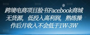 跨境电商项目脸书Facebook商城无货源,低投入高利润,熟练操作后月收入不会低于1W-3W-逐浪前行