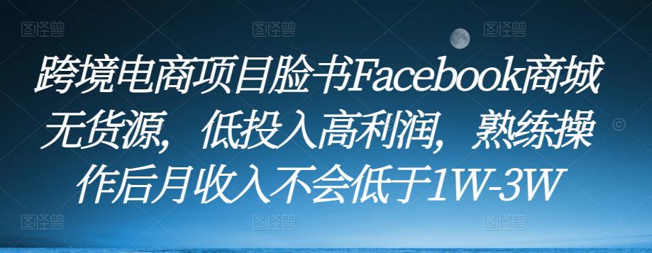 跨境电商项目脸书Facebook商城无货源，低投入高利润，熟练操作后月收入不会低于1W-3W-逐浪前行