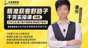 杨光·精准获客野路子,黑科技快速获取精准客户,这也许是全网最低的获客方法了-逐浪前行