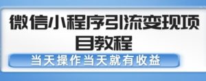 微信小程序引流变现项目教程,当天操作当天就有收益,变现不再是难事-逐浪前行