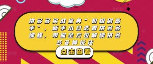 拼多多实战宝典“初级到高手”,新手小白必看拼多多课程,带你全方位解读拼多多各种玩法-逐浪前行